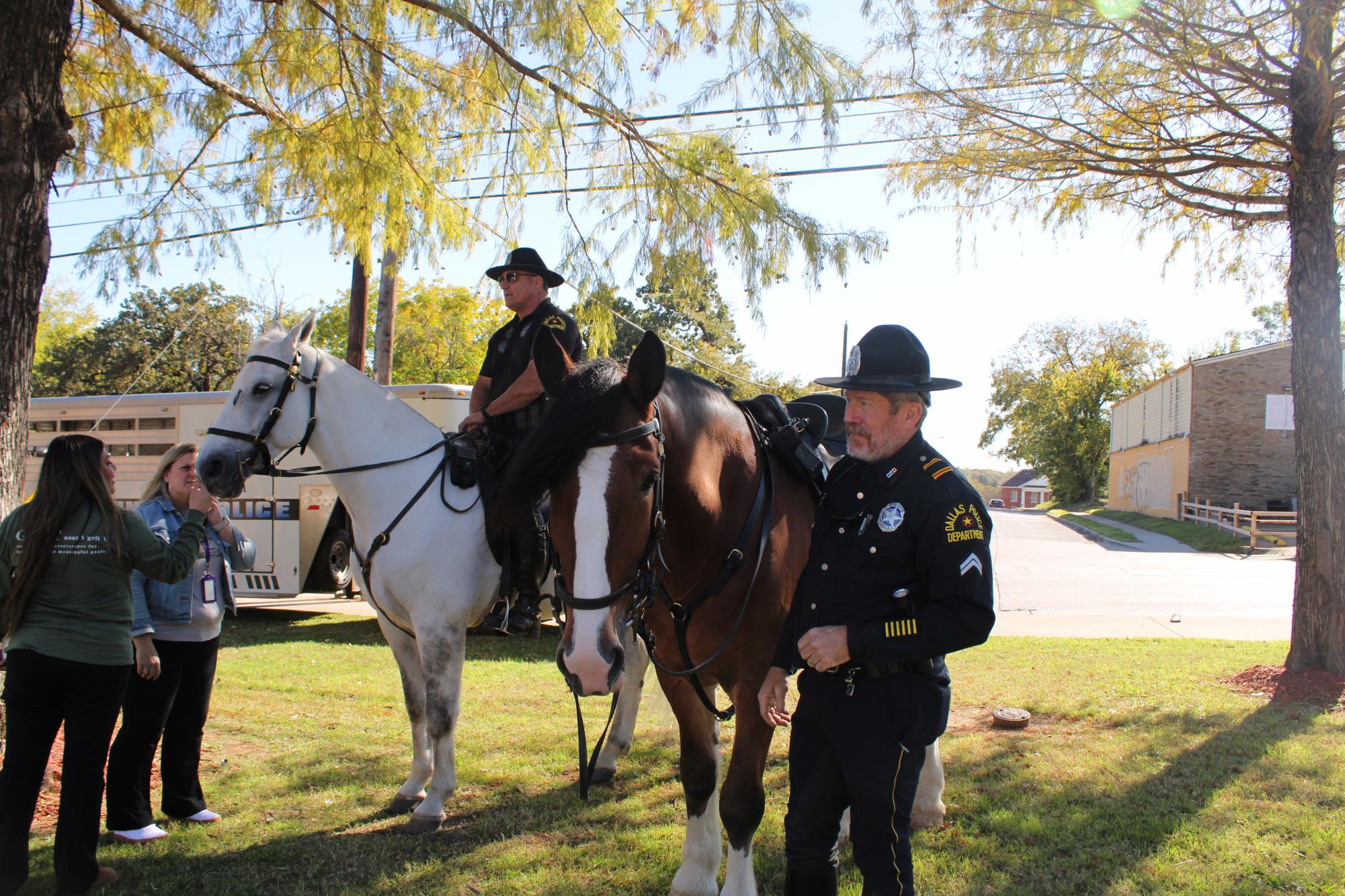 Horse Police Crew, Brown Horse Walker
