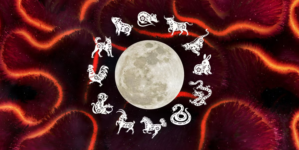 Zodiac Revelations in the Year of the Snake