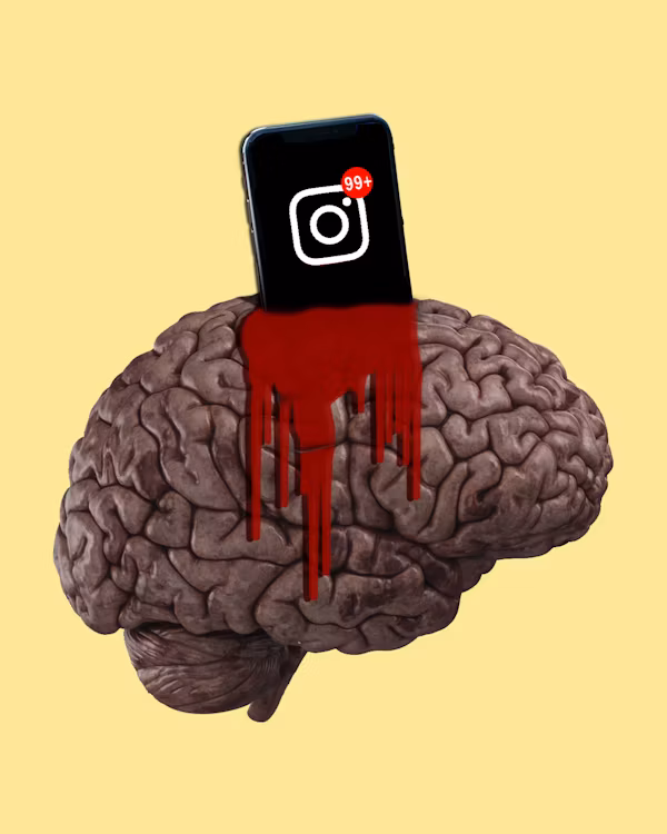The Normalization of Extremism: How Social Media Allows the Spread of Radical Ideologies
