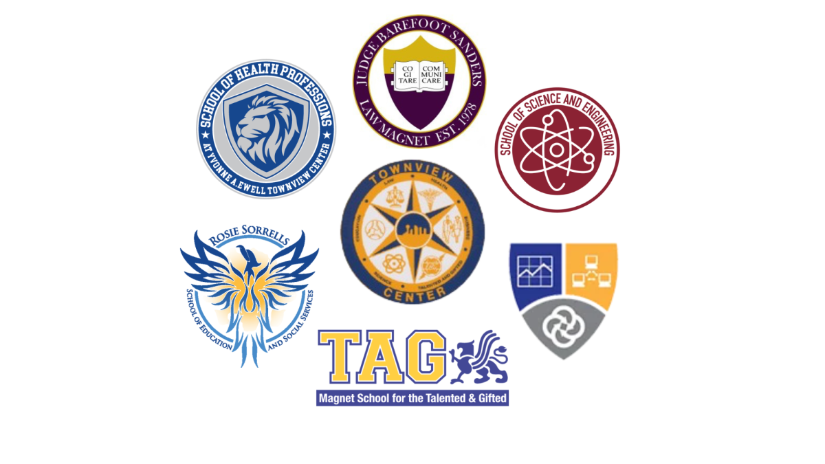 A Great Divide: Townview Magnet Center